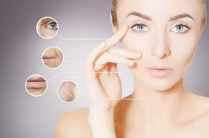 "Bảng Vàng" Thành Phần Chống Lão Hóa Hiệu Quả