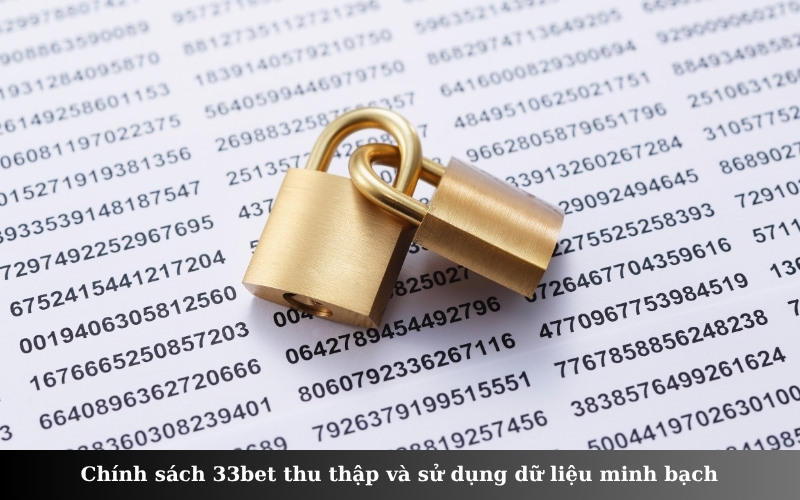 Chính sách 33bet thu thập và sử dụng dữ liệu minh bạch