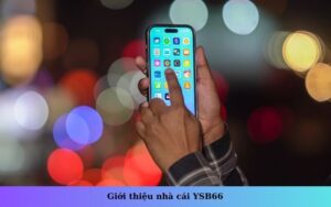 Giới thiệu nhà cái YSB66