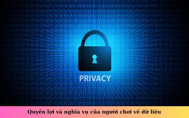 Quyền lợi và nghĩa vụ của người chơi về dữ liệu