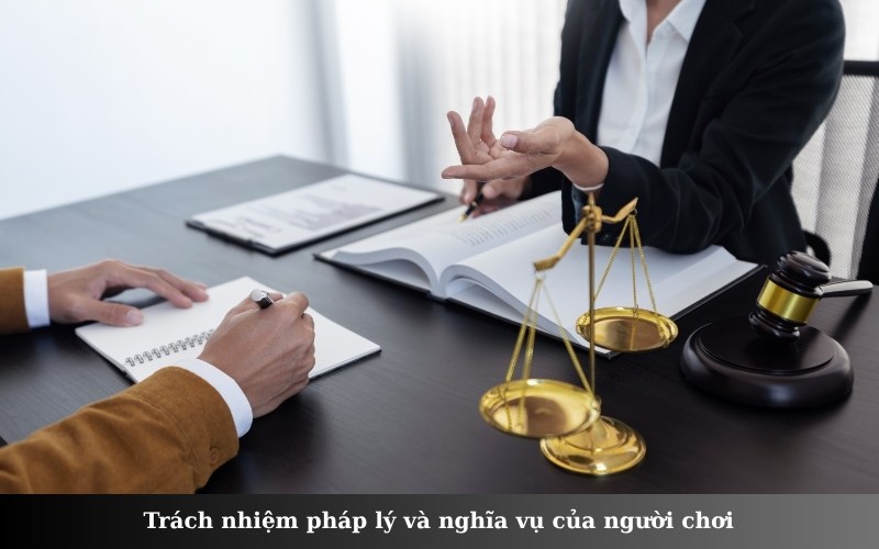 Trách nhiệm pháp lý và nghĩa vụ của người chơi (1)