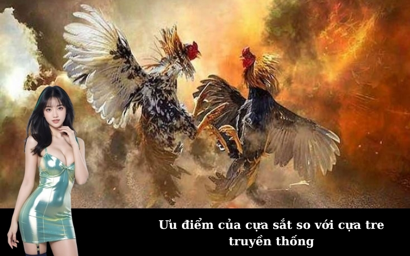 Ưu điểm của cựa sắt so với cựa tre truyền thống